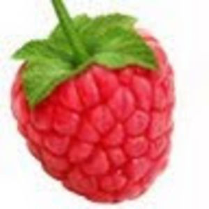 Meet your Posher, Rachael